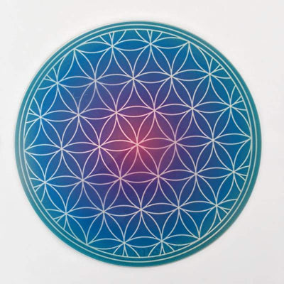 Full color Silicone Trivets ROUND - Kraft & Kitchen